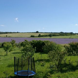 Sárkányházi Apartman Barnag (3)