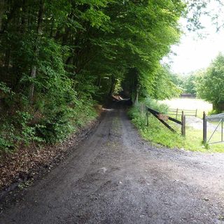 Casa de oaspeți Szarvas Izvoare (2)