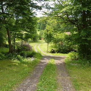 Casa de oaspeți Szarvas Izvoare (4)