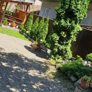 Casa Roland Sovata (4)