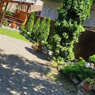 Casa Roland Sovata (4)