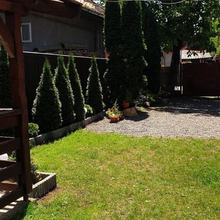 Casa Roland Sovata (5)