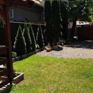 Casa Roland Sovata (5)