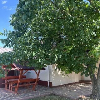 Diána Vendégház Poroszló (5)