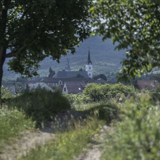 Bacchus Vendégház Erdőbénye (2)