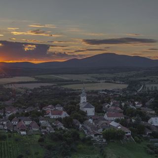 Bacchus Vendégház Erdőbénye (3)
