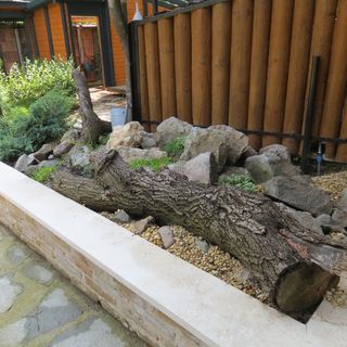 Csobogó Vendégház Verőce (5)