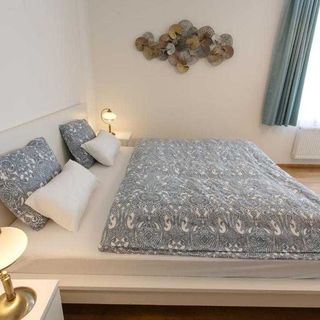 Apartments Villa Whitehouse Ostrava (4)