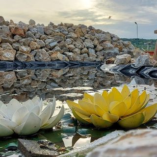 Capitol Apartmanok Pákozd (5)