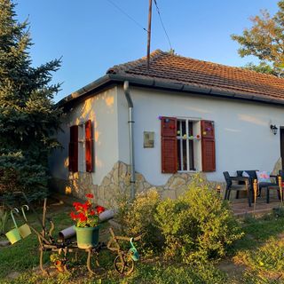 Tiszai Fenyves Apartman Tiszadorogma (4)