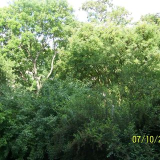 Zielony Apartament Kielce (3)