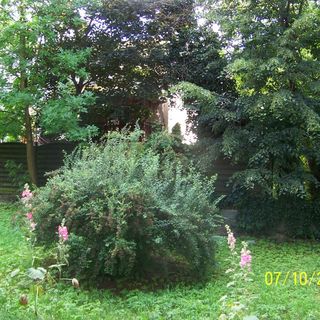 Zielony Apartament Kielce (4)