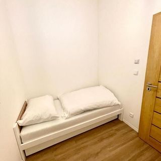 Angel Apartment Černý Důl_torolt_20250717 (4)