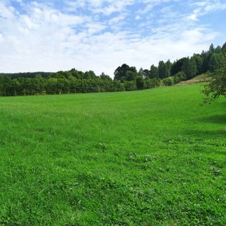 Pensiunea Livada cu meri Lădăuți (4)