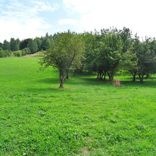 Pensiunea Livada cu meri Lădăuți (5)