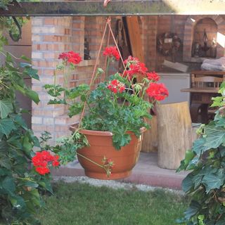 Gubicza Vendegház Vértessomló (5)