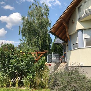 Dominik Apartmanház Velence (3)