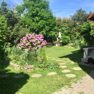 Tulipán Ház Szentendre (3)