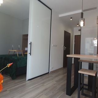 Apartament Green Diamond Rakowicka Kraków  (5)