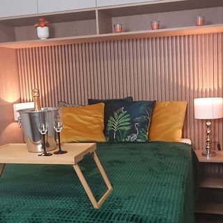 Apartament Green Diamond Rakowicka Kraków  (4)