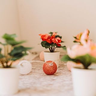 Ringat-Lak Vendégház Nagymaros (2)