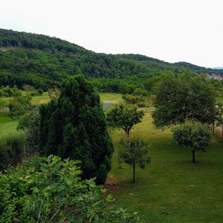 Füzeskert Vendégház Szigliget (4)