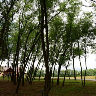 Ébredj a tanyán Zsindelyes Érpatak (4)