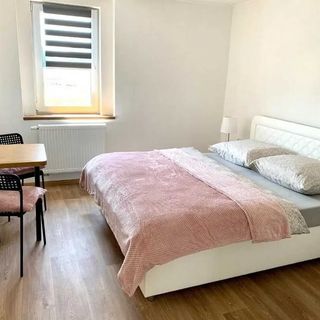 Pension u Šťastných Mariánské Lázně (3)