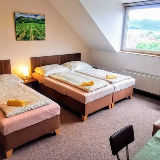 Pension u Radešínka Počepice (4)