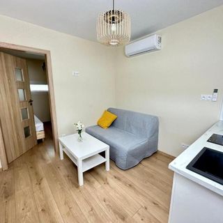 Wyspa Wisła Przyjazna Przystań (2)