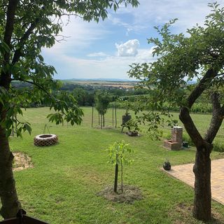 Berkenyés Házikó Szőlősgyörök (5)