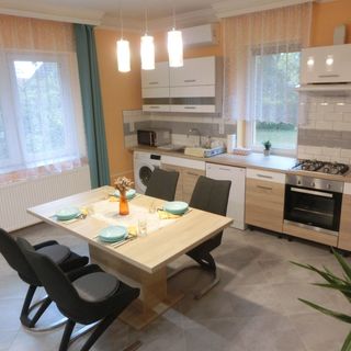 Pilis Apartman Piliscsaba (5)