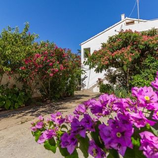 Apartmani Ana 1 Biograd na Moru (2)