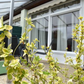 Akvamarin Apartman Keszthely (3)