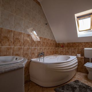 Casa de oaspeți Boros Zetea (3)