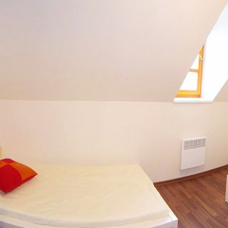 Apartmán Říčky U Sněžného Lva Říčky v Orlických horách (3)