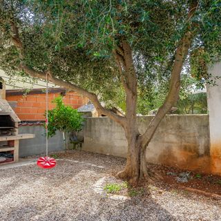 Apartman Vir - CDA984 (5)