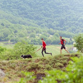 Körbezöld Porta Harkány (5)