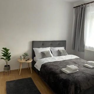 Apartament Cozy Studio 1 Bedroom Zalău (4)