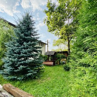 Cabana Lixandra Săcuieu (2)