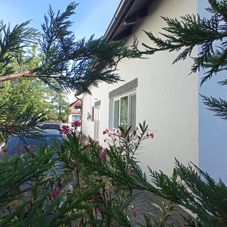 Tulipánfa Apartman Balatonszárszó (3)