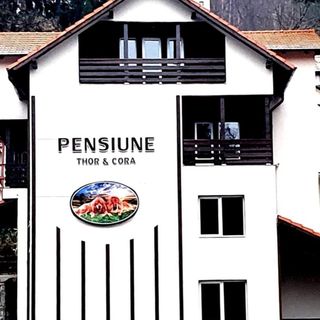 Pensiunea Thor și Cora Sovata (4)