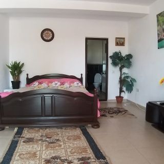 Vila Rico Tulcea (5)
