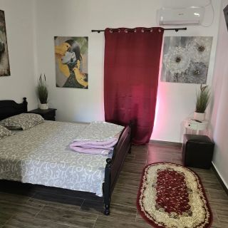 Vila Rico Tulcea (5)