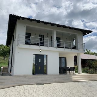 Cabana Viktoria House Fâncel (2)