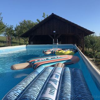 Cabana Viktoria House Fâncel (4)