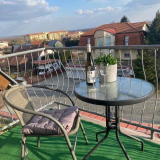 Chestnut Hill Apartman Zalakaros (5)