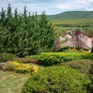 Pitypang Apartman Felsőtárkány (4)