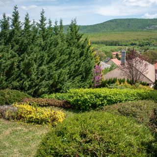 Pitypang Apartman Felsőtárkány (4)