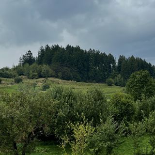 Casa Andreas Zărnești (2)